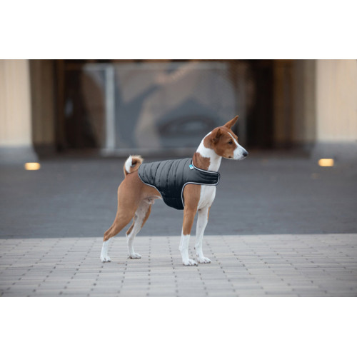 Легкая куртка-накидка для собак AiryVest чёрного цвета на липучке