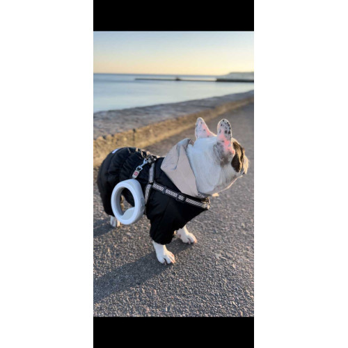 Комбинезон для собак AiryVest ONE чёрного цвета