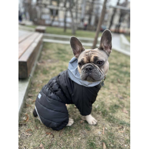 Комбинезон для собак AiryVest ONE чёрного цвета