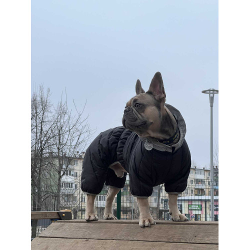 Комбинезон для собак AiryVest ONE чёрного цвета