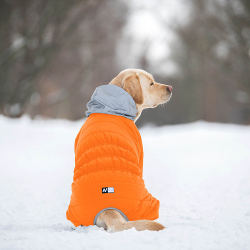 Комбінезон для собак AiryVest ONE помаранчевого кольору