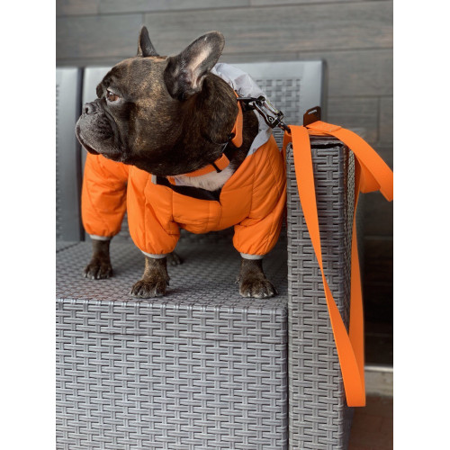 Комбінезон для собак AiryVest ONE помаранчевого кольору