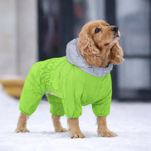 Комбинезон для собак AiryVest ONE салатового цвета