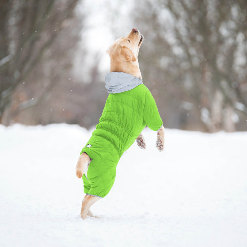 Комбинезон для собак AiryVest ONE салатового цвета