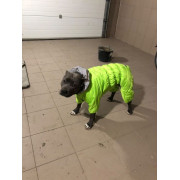 Комбінезон для собак AiryVest ONE салатового кольору - фото 6