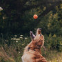 М'ячик з отвором для ласощів Fetch Ball помаранчевий для собак Beco Pets