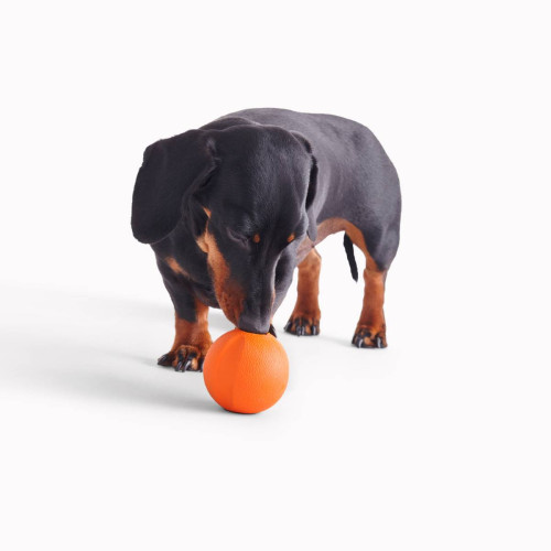 М'ячик з отвором для ласощів Fetch Ball помаранчевий для собак Beco Pets