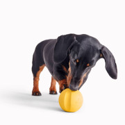 Мячик с отверстием для лакомств Fetch Ball желтый для собак Beco Pets - фото 2