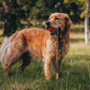 Игрушка мячик на веревке Slinger Ball оранжевый для собак Beco Pets - фото 3