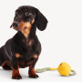 М'ячик на мотузці Slinger Ball жовтий для собак Beco Pets