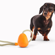Игрушка на канате Slinger Pebble оранжевая для собак Beco Pets - фото 5