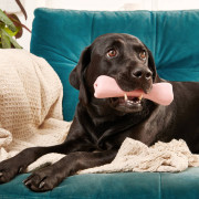 Жевательная игрушка Treat Bone с отверстием для лакомств розовая для собак Beco Pets - фото 3