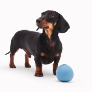 Іграшка м'ячик Wobble Ball з отвором для ласощів блакитний для собак Beco Pets - фото 4