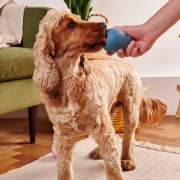 Іграшка з отвором для ласощів Boredom Buster блакитна для собак Beco Pets - фото 3