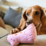 Мягкая игрушка Малыш Динозавр Розовый для собак Beco Pets - фото 3