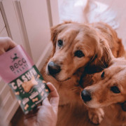 Печиво для собак Beco Pets Кеш'ю з гарбузовим насінням і морквою 70 г (рослинний білок) - фото 4