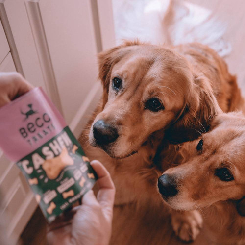 Печенье для собак Beco Pets Кешью с тыквенными семечками и морковью 70 г (растительный белок)