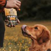Печенье для собак Beco Pets Арахис с кокосом и куркумой 70 г (растительный белок) - фото 2