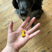 Печенье для собак Beco Pets Арахис с кокосом и куркумой 70 г (растительный белок) - фото 3