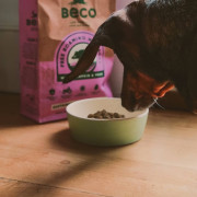 Миска для собак Beco Pets, бамбукова, зелена - фото 2