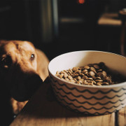 Миска для собак Beco Pets, бамбукова, блакитна - фото 3