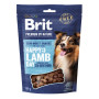 Ласощі Brit Premium Semi-moist Snacks Lamb with Sea Buckthorn напіввологі для cобак з ягням і обліпихою 180 г