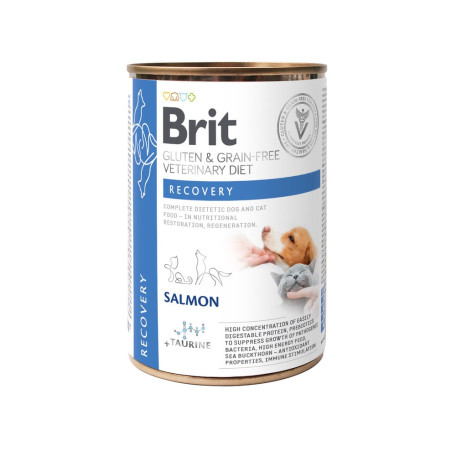Вологий корм Brit Grain Free VetDiet Recovery для собак та котів для відновлення з лососем 400 г