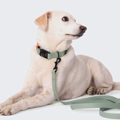 Ошейник для собак Cloud7, Ipanema, мятный