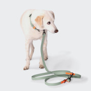 Біотановий повідець вільні руки для собак Cloud7 Hands-Free-Leash Ipanema, м'ятний - фото 6