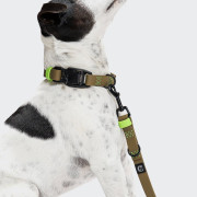 Біотановий повідець вільні руки для собак Cloud7 Hands-Free-Leash Ipanema, оливковий - фото 2