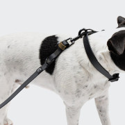 Биотановый поводок свободные руки для собак Cloud7 Hands-Free-Leash Ipanema, черный - фото 3