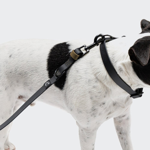 Биотановый поводок свободные руки для собак Cloud7 Hands-Free-Leash Ipanema, черный - фото 3