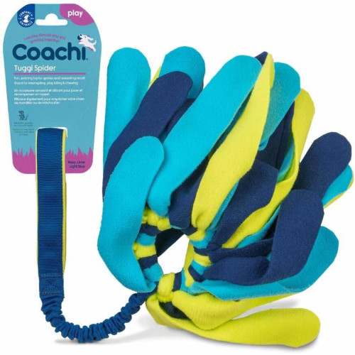 Іграшка для перетяжок Tuggi Spider синій із зеленим та блакитним для собак COACHI