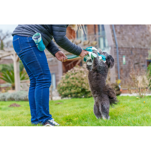 Іграшка для перетяжок Coachi Tuggi Spider Зелений для собак COACHI