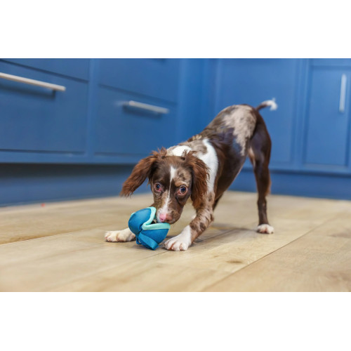 Іграшка для перетяжок Coachi Chase & Treat з отвором для ласощів для маленьких порід і цуценят зелена для собак COACHI