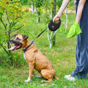 Повідець-рулетка WAUDOG R-leash з контейнером, чорний - фото 12