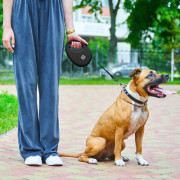 Повідець-рулетка WAUDOG R-leash з контейнером, чорний - фото 8