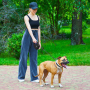 Повідець-рулетка WAUDOG R-leash з контейнером, чорний - фото 9