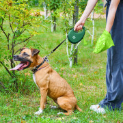 Поводок-рулетка WAUDOG R-leash с контейнером, зелёный - фото 10