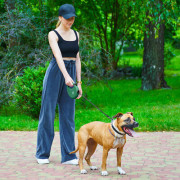 Поводок-рулетка WAUDOG R-leash с контейнером, зелёный - фото 12