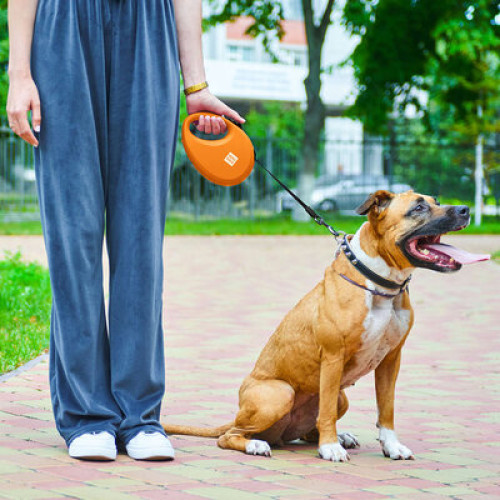 Повідець-рулетка для собак WAUDOG R-leash з контейнером, помаранчевий