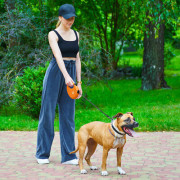 Повідець-рулетка для собак WAUDOG R-leash з контейнером, помаранчевий - фото 12