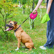 Поводок-рулетка WAUDOG R-leash с контейнером, розовый - фото 10
