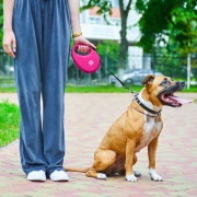 Поводок-рулетка WAUDOG R-leash с контейнером, розовый - фото 11