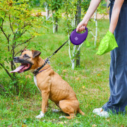 Повідець-рулетка WAUDOG R-leash з контейнером, фіолетовий - фото 12