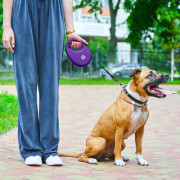 Повідець-рулетка WAUDOG R-leash з контейнером, фіолетовий - фото 8