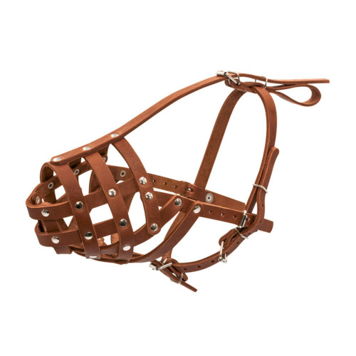 Намордник для собак CoLLaR твердий, коричневий, натуральна шкіра