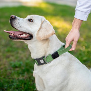Нашийник для собак з ручкою CoLLaR Брезент, пластиковий фастекс, ширина 35 мм - фото 2