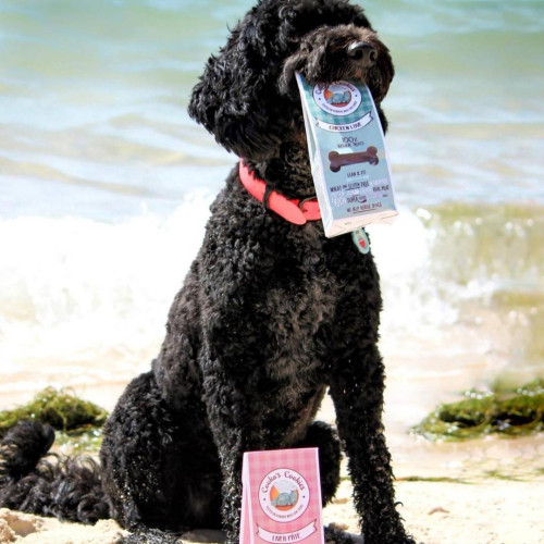 Натуральное печенье для собак Cooka's Cookies Курица с овощами 100 г