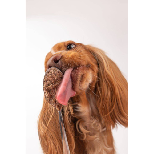 Натуральный влажный корм для собак Cooka's Cookies 92% Лосось с морковью и шпинатом 400 г